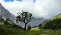 2015-06-24_01Eng-Steig (122)b.JPG